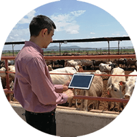 livestock-analytics