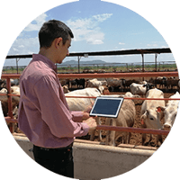 livestock-analytics